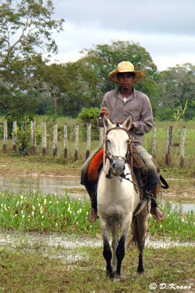 cowboy on his horse