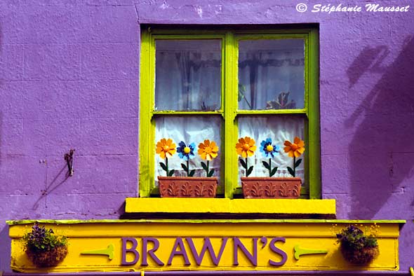 colourful window of Westport