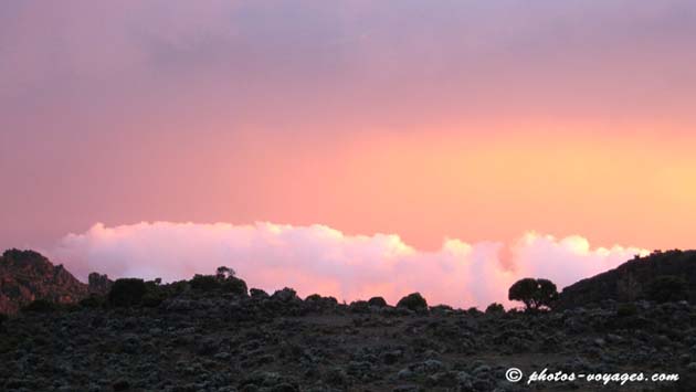 kilimanjaro sunset