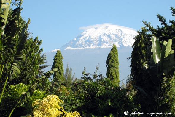 Kilimanjaro seen from Keys hotel