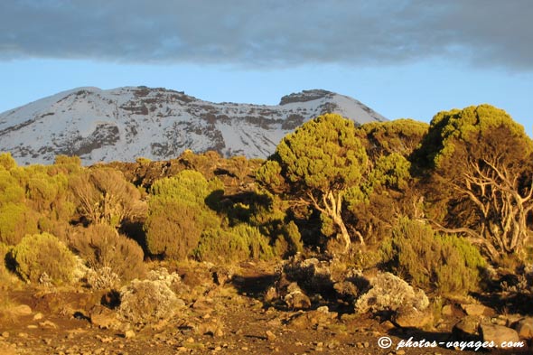contrasted view of kili summit