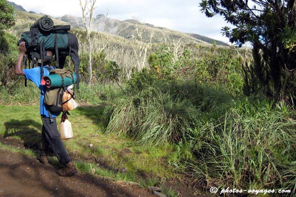 Kilimanjaro heath