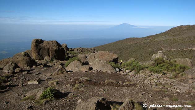 Kilimanjaro landscape