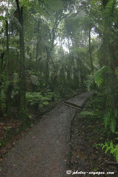 Kilimanjaro trail
