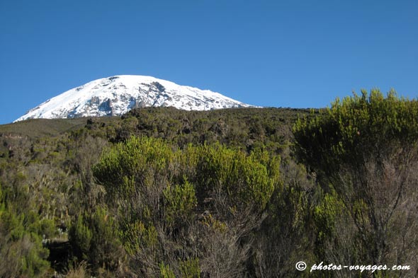 Kilimanjaro covered in snow