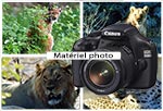 Matériel photo préconisé en safari photo