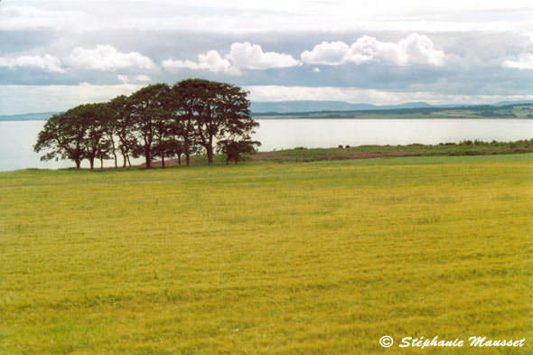 contrasted scottish landscape